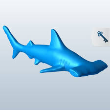 Cekic Kafali Kopek Baligi V2 Ucretsiz 3d Model Obj Stl Free3d