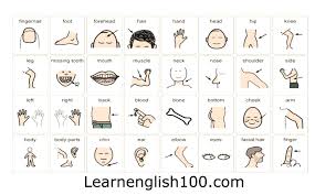 اعضاء الجسم بالانجليزي والعربي بالصور و مترجم learn english learning vocabulary
