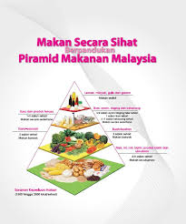 Aras 1 piramid makanan mengandungi kumpulan makanan yang kaya dengan karbohidrat kompleks, yang merupakan sumber tenaga yang utama. Piramid Makanan In English