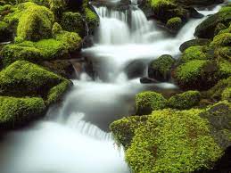 3d wallpapers hd full hd, hdtv, fhd, 1080p 1920x1080 sort wallpapers by: Desktop Wallpaper Hd 3d Full Screen Nature