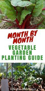 Use this guide to learn how to start a vegetable garden and choose the this will help you estimate how many seed packets or plants you'll need to buy. Month By Month Vegetable Planting Guide For Gardeners Vegetable Garden Planting Guide Vegetable Garden Planner Garden Plants Vegetable