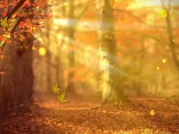 Check spelling or type a new query. Fall Forest Background Life Scribe Media Worshiphouse Media