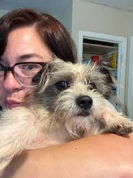 Lost & Found Pets of Victoria, Tx