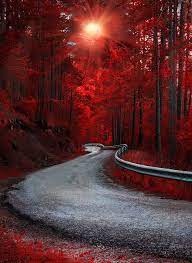 Dreaming In Red Beautiful Scenery Photography Landscape Photography Nature Scenery Photography