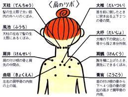 肩こりに効果的なツボ 症状別効果的なツボ ツボ押しで体を健康的にしよう ツボ 健康 迷走神経