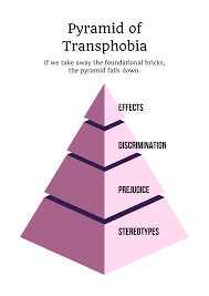 What Is Transphobia? - Gender Minorities Aotearoa