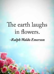 Quotes The Earth Laughs In Flowers Earth Quotes Blossom Quotes Flower Quotes