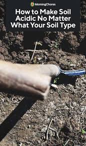 Check spelling or type a new query. How To Make Soil Acidic No Matter What Your Soil Type