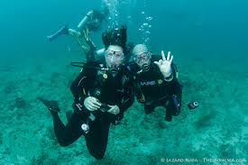 Image result for Sebaea junodii