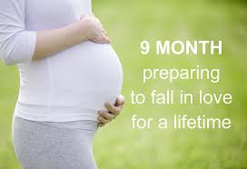 Top Motivational Pregnancy Quotes Sayings