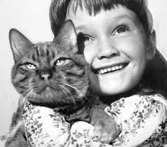 The townspeople begin to bring their sick animals to lori, upset because andrew put his daughter's cat to sleep. The Three Lives Of Thomasina 1964 Favorite Movies Cats Disney Cats