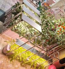 Building cob led grow light. China Big Integrated Full Spectrum Cob Led Aquarium Light Grow Light China Led Aquarium Light Full Spectrum Led Grow Light