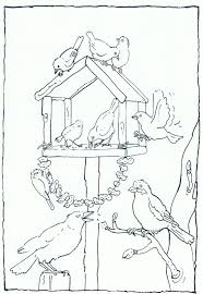 Feeding Birds In Your Garden Coloring Page Vogels Voeren In Je Tuin Kleurplaat Kleurplaat Vogels Birds Kleurplaten Winterknutsels Vogels