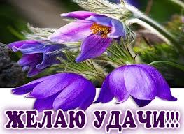 Желаю удачи - красивые картинки (40 открыток) • Прикольные картинки и  позитив