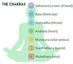 When the root chakra, or muladhara. Yoga Explained Series Root Or Muladhara Chakra