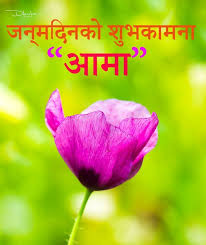 Birthday Wishes For Father In Law In Nepali Language New Birthday Wishes To Mother In Nepali Bless Nepal Birthday Wishes For Mother Birthday Wishes For Brother Mother Birthday Message