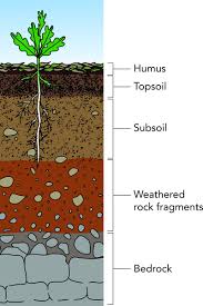 Thunderbolt Kids Soil Layers Earth Science Lessons Soil Activities