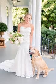 Pin On Wedding Dress Inspiration