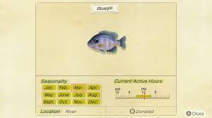 Animal Crossing: New Horizons Fish Prices Dec 2021/Jan 2022 - When And  Where To Find Every Fish | Vg247