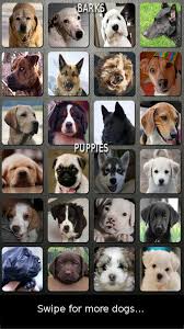 Check spelling or type a new query. Dog N Puppy Barking Sounds Apk 1 2 7 Download For Android Download Dog N Puppy Barking Sounds Apk Latest Version Apkfab Com