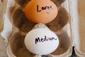 What S The Difference Between Medium Large Extra Large And Jumbo Eggs Kitchn