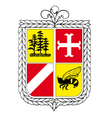 Con la constitución de 1925 se mantuvo la misma estructura pero las municipalidades quedaban a cargo de un alcalde y regidores. Coihueco Comuna Wikiwand
