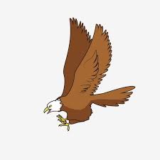 القطامي الصقور والنسور الصقور والطيور goshawks العصفور الصقور والأسرة الصقر والحيوانات آكلة اللحوم شرسة الطيور الجارحة ناقلات صور ملونة منظمة العفو الدو watercolor paintings animals painting