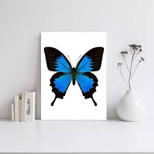 Dengan bentuk yang begitu cute, dijamin rumah anda akan terasa lebih indah dan nyaman. Jual Hiasan Dinding Kupu Kupu Terbaru Juli 2021 Blibli