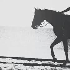 رمزيات صور عرض حصان disney pictures horses places to visit