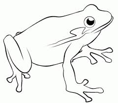 Now, check out all of them below! 20 Free Printable Frog Coloring Pages Everfreecoloring Com