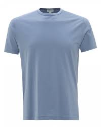 mens plain basic t shirt classic fit cotton fern blue tee