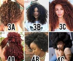 Pin By Karmela On Hairstyle Natural Hair Styles Black Hair Types Chart Natural Hair Styles For Black Women