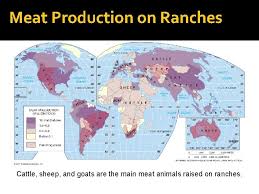 Consumed by people as oil, margarine, and other food products, but most is fed to pigs and cattle. Agriculture Chapter 10 Aphg Spring 2014 Http Www