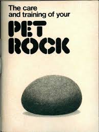 The Care And Training Of Your Pet Rock Manual By Gary Dahl Pet Rocks My Childhood Memories Childhood Memories