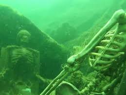 Snorkeler Mistakes Fake Skeletons For Real Human Remains Sends Authorities On Hunt Fake Skeleton Scary Ocean Underwater