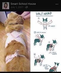 Pin On Natural Health Tips Tricks