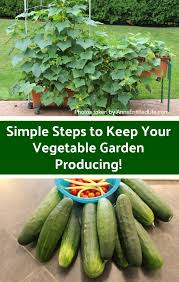 Check spelling or type a new query. Simple Steps To Keep Your Vegetable Garden Producing