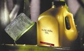 Aloe Vera Jelin Saca Faydalari