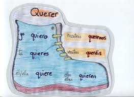 conjugation of querer photo