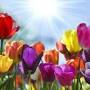 Profile Picture of Obituary information for Todd Singleton - Clock Funeral Homeon Google