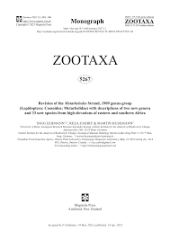 Image result for Psychotria linearisepala