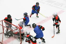 中外媒体探访北京南宫冰上运动中心- 中国日报网