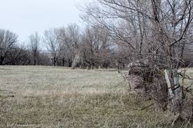 Hunting blind replacement pole and hub set. Gear Review Killzone 360 Hub Style Ground Blind Sporting Journal Radio