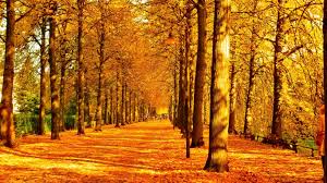 Find the best nature wallpapers 1366x768 on wallpapertag. Nature Wallpapers 1366x768 Laptop Desktop Backgrounds