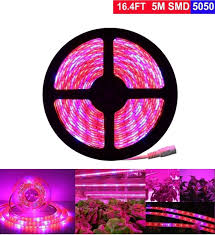 We did not find results for: Sale Online Discount Led Grow Light Strip Topled Light 6 56ft Plant Strip Light With Power Supply Full Spectrum Smd 5050 Red Blue 4 1 Rope Light For Aquarium Greenhouse Hydroponic Pant Indoor Grow
