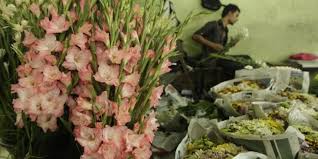 Keindahan rangkaian bunga di pasar rawa belong. Oase Bunga Segar Di Tengah Jakarta Halaman All Kompas Com