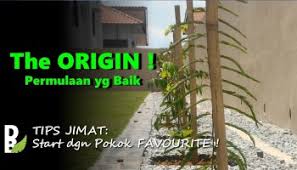 Maybe you would like to learn more about one of these? Pokok Putat Di Dusun Bandar Dusun Bandar