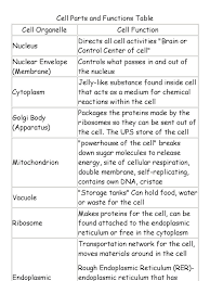 We did not find results for: Cell Parts And Functions Table Pdf Endoplasmic Reticulum Cell Biology