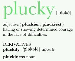 Lol Ruthie Turner Is Definitely Plucky Now I Wish I D Used This Adjective Jadedbook Weird Words Meaningful Words Cool Words