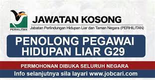 Penolong pegawai teknologi maklumat (gred fa29). Penolong Pegawai Hidupan Liar Contoh Soalan Temuduga Pegawai Hidupan Liar G41 Skop Kerjaya Penolong Pegawai Tadbir Gred N29 7 Penolong Pegawai